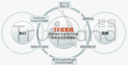 TFS系統(tǒng)