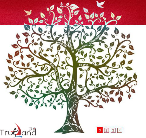 企業(yè)網(wǎng)站設(shè)計