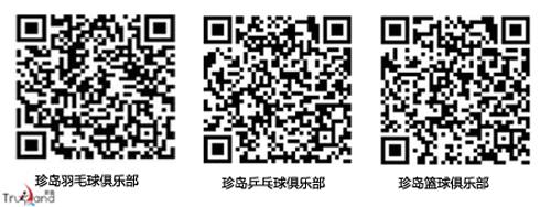 珍島營銷“兩大球、兩小球”俱樂部二維碼