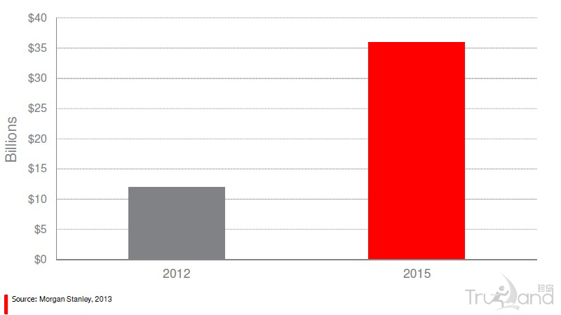 俄羅斯電子商務(wù)市場(chǎng)