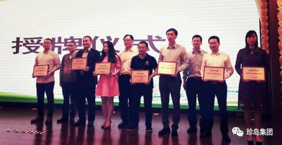 上海珍島獲選為2017年雙推服務(wù)平臺(tái)